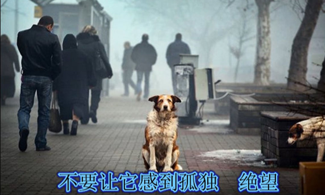 西双版纳西双版纳爱影圈微博微信转发案例